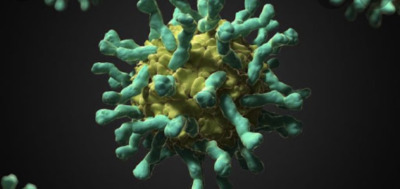 Coronavirus: une 41ème personne infectée, 3 morts 1