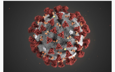 Coronavirus: 20 personnes contaminées en Haïti 4