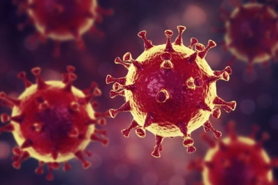 Coronavirus: 21 nouvelles contaminations en 24 heures en Haïti 4