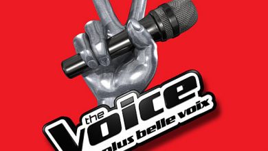 The Voice France : l'opportunité qui ne sourit pas à tous les gagnants 20