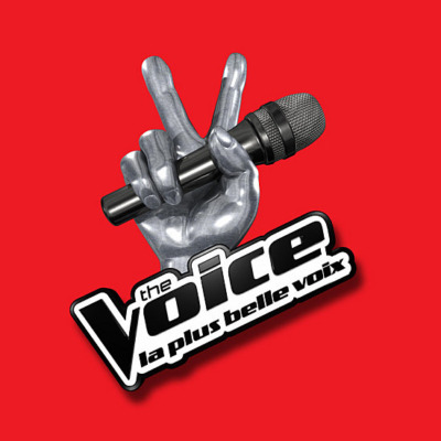 The Voice France : l'opportunité qui ne sourit pas à tous les gagnants 1