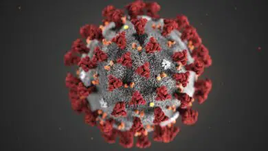 Le département du Centre frappé par le coronavirus, plusieurs nouveaux cas recensés 4