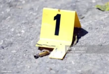 Fort-Jacques : quatre morts dans une fusillade, le gang de Vitelhomme indexé 25