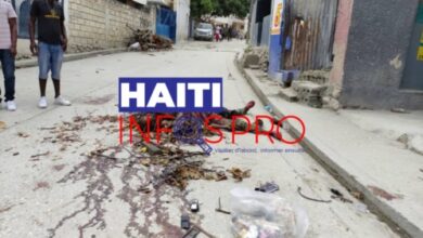 Violence armée : quand l’ONU ne fait qu’aider Haïti à compter ses morts 3