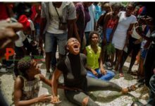 Violences armées en Haïti : le RNDDH reconfirme la complicité du Gouvernement avec les gangs 7