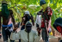 « Viv ansanm » : des bandits promettent la paix, des défenseurs de droits humains alertent la population 9