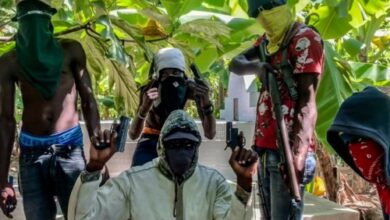 « Viv ansanm » : des bandits promettent la paix, des défenseurs de droits humains alertent la population 21