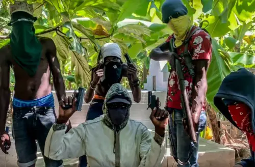 « Viv ansanm » : des bandits promettent la paix, des défenseurs de droits humains alertent la population 1