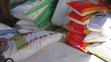 Université de Michigan : le riz américain, exporté en Haïti, un grand risque pour la santé 19